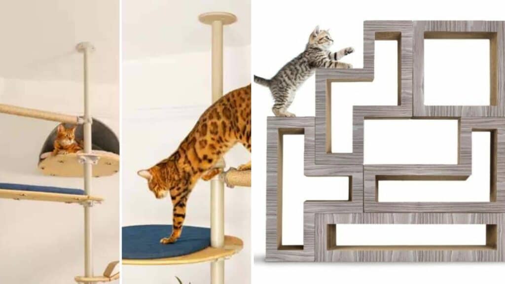arbre a chat destructure facilement deplacables
