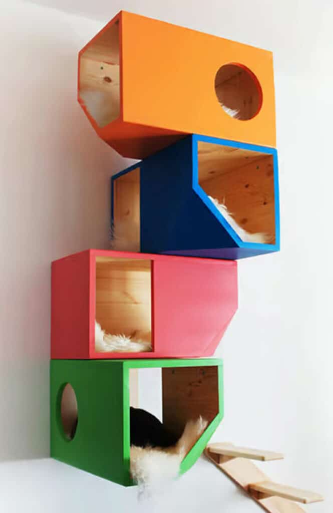 arbre a chat verni couleurs vives