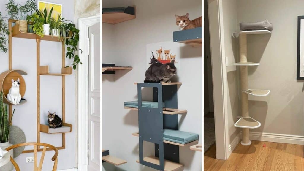 arbres a chat sol mur combines