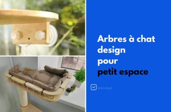arbre a chat design petit appartement petit espace