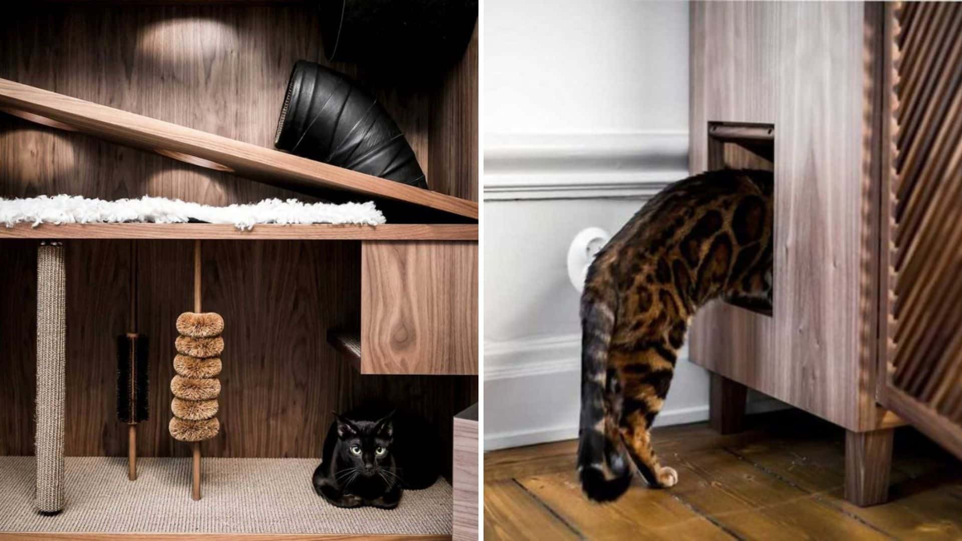 arbre a chat espace a habiter