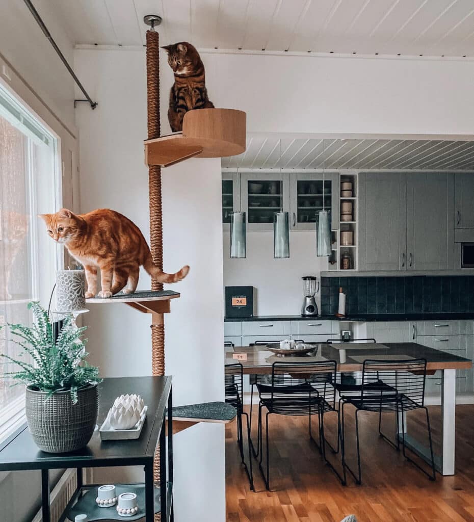 arbre a chat integrer sans rupture visuelle