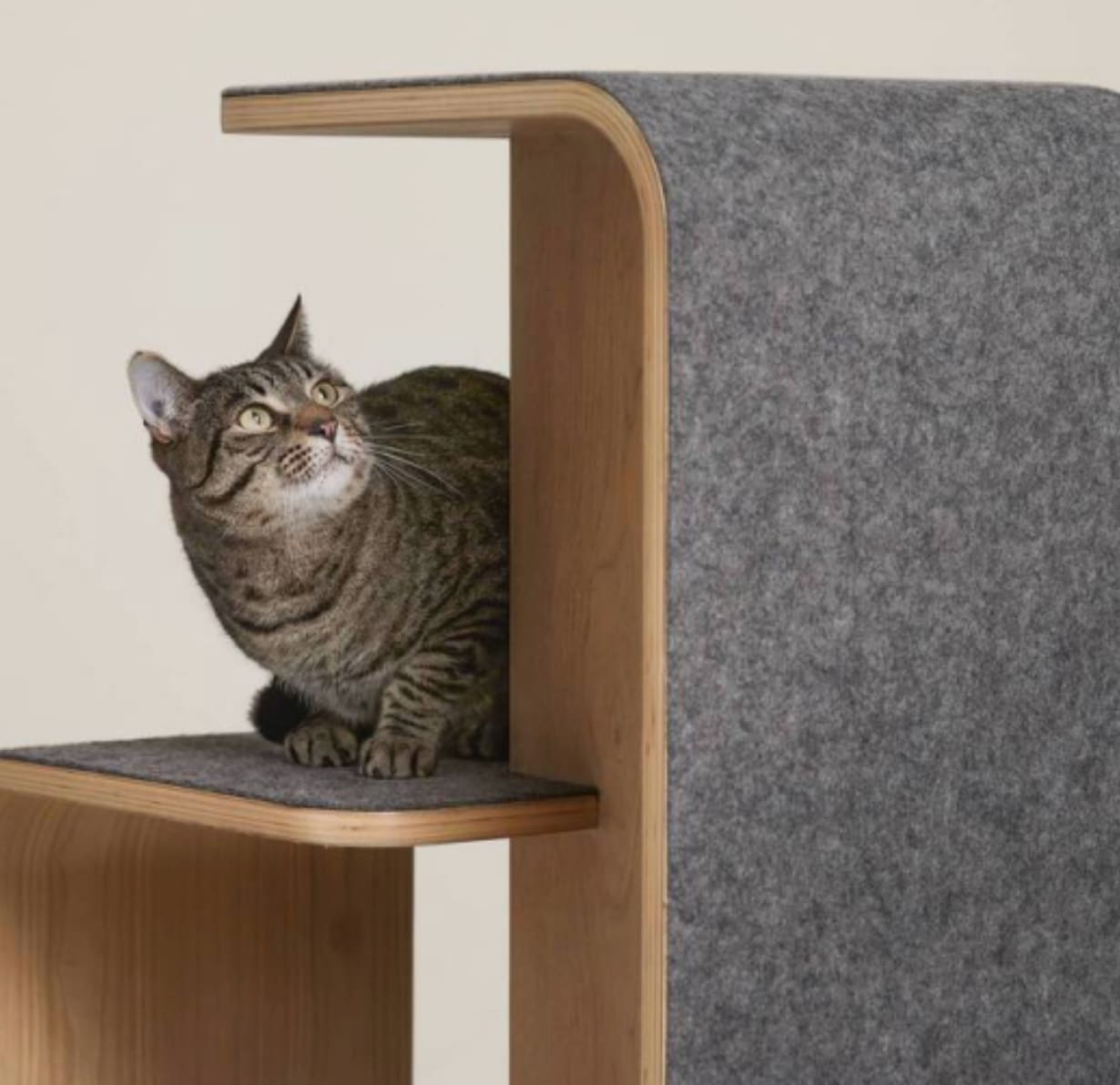 arbre a chat japandi remarquable
