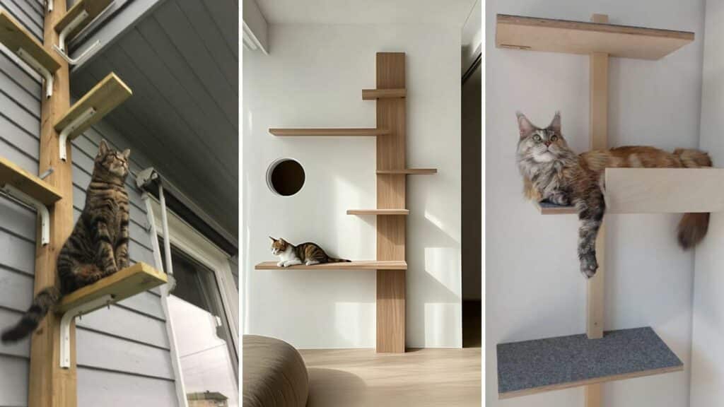 arbre a chat materiaux naturel line epuree stabilite visuelle