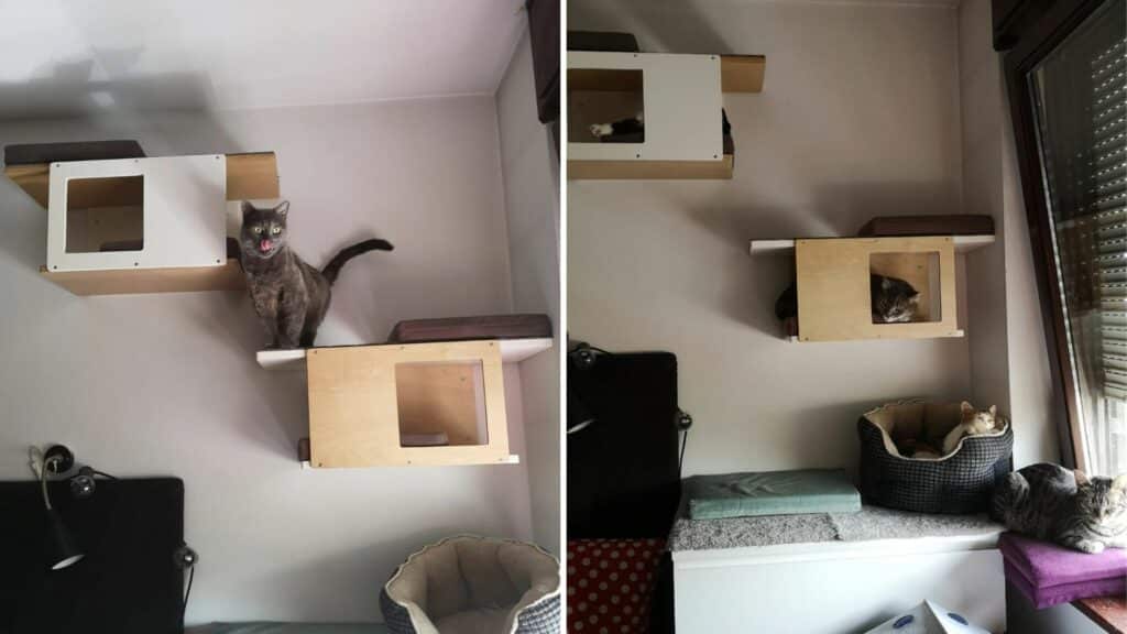 arbre a chat petit espace compartiment