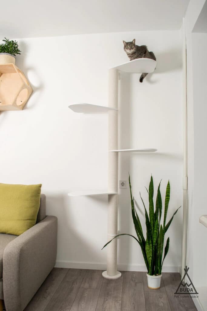 arbre a chat petit espace long fin