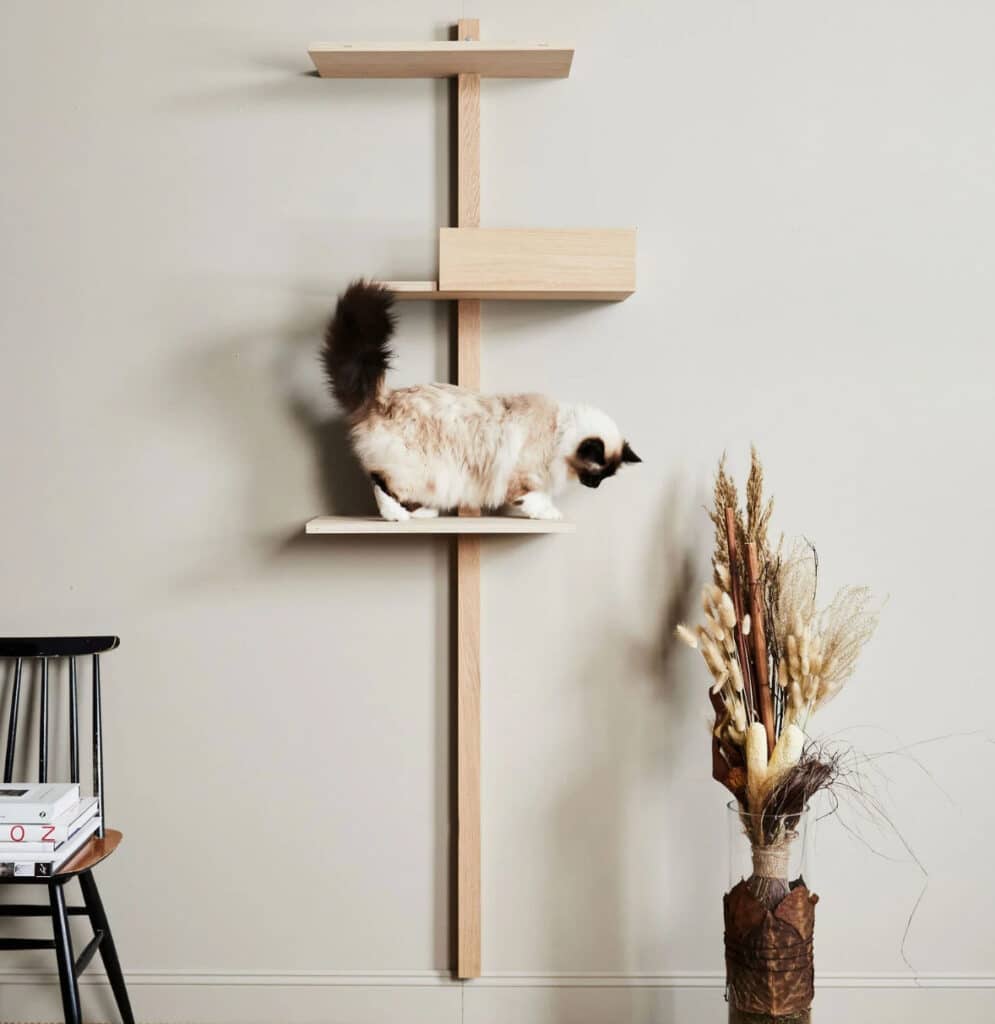 esprit felin scandinave