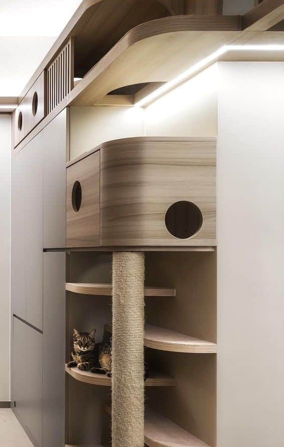 pinterest habitat felin architectural