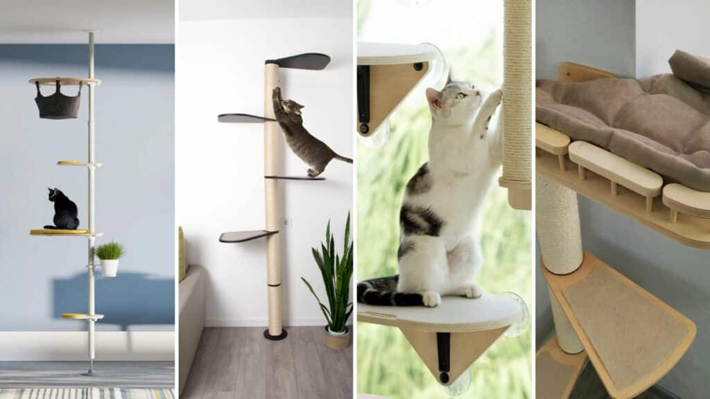 solution design arbre a chat petit appartement