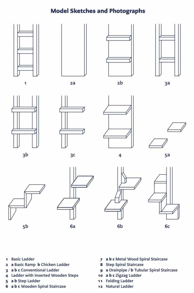 typologie cat ladder 1