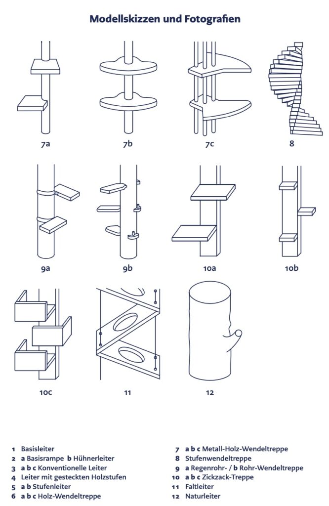 typologie cat ladder 2