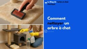 Comment nettoyer un arbre a chat