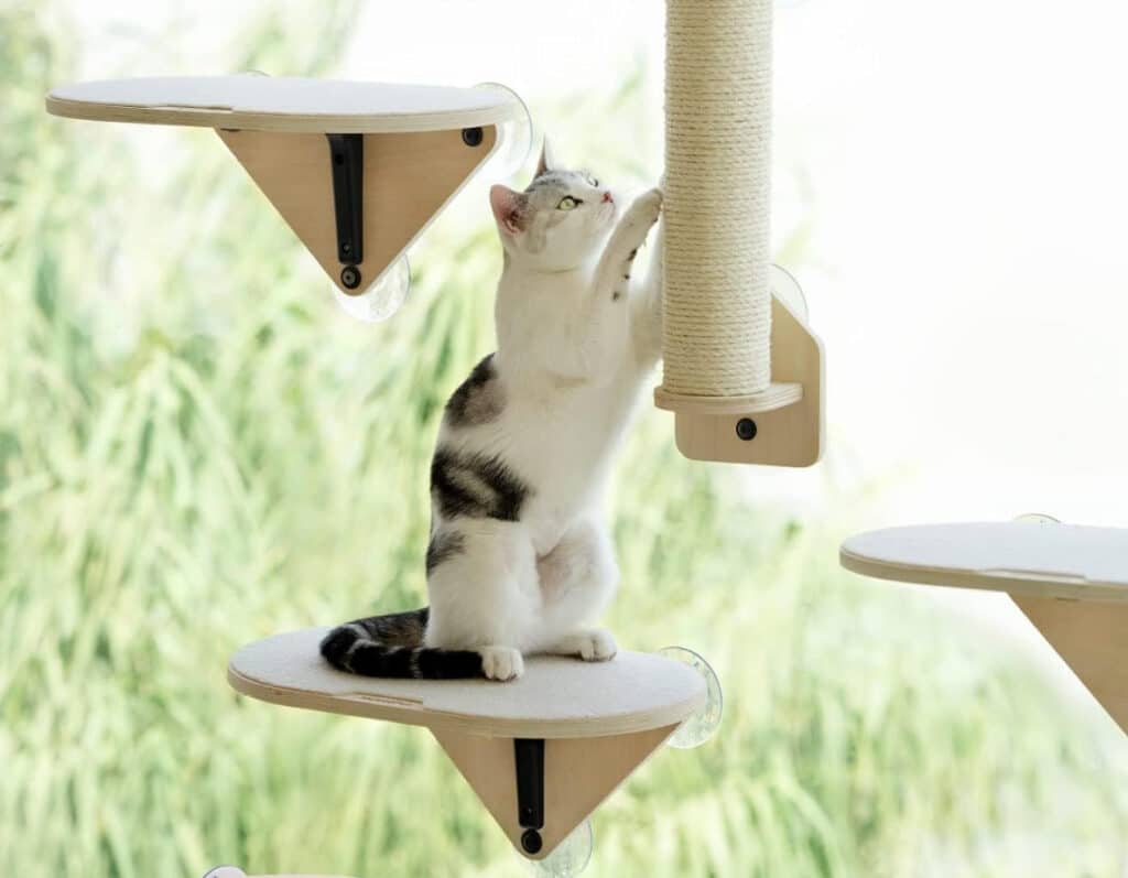 arbre a chat desgin contemporain petit espace fenetre