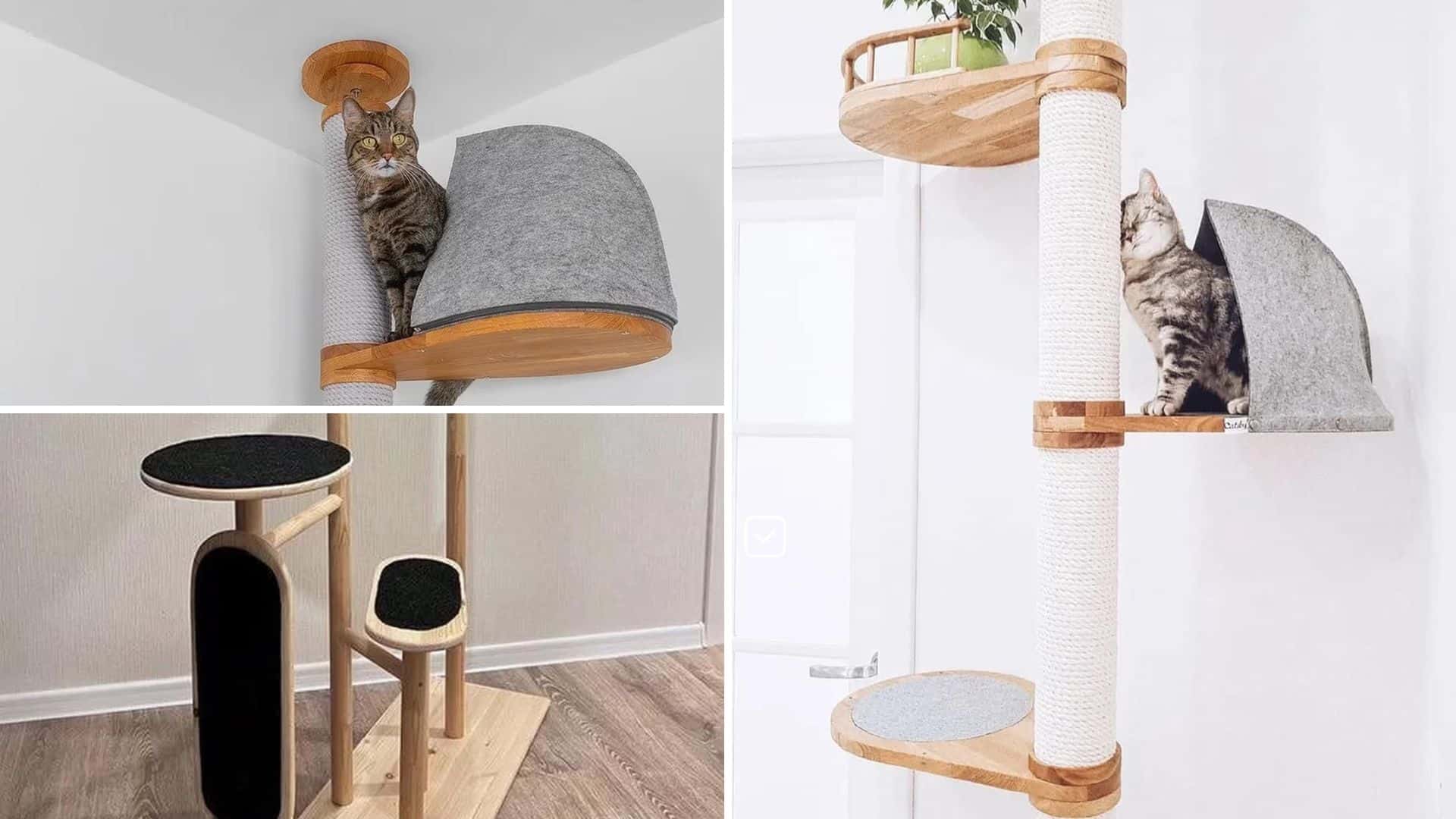 arbre a chat design bulgarie
