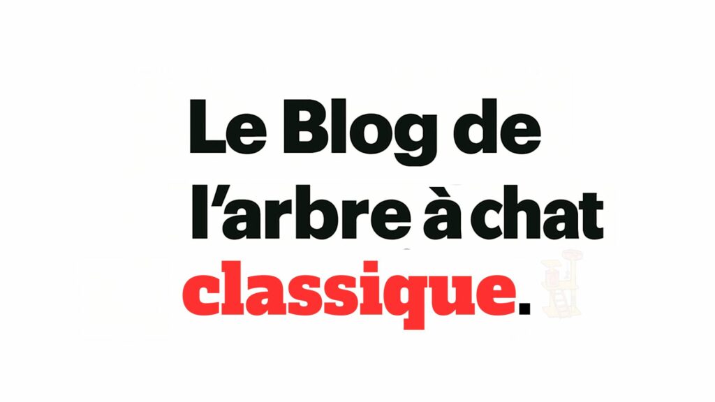 blog arbre a chat classique