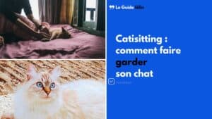 comment chez qui faire garder son chat