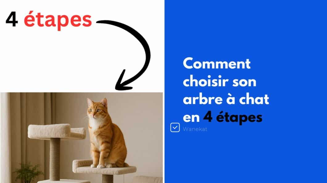 comment choisir un arbre a chat