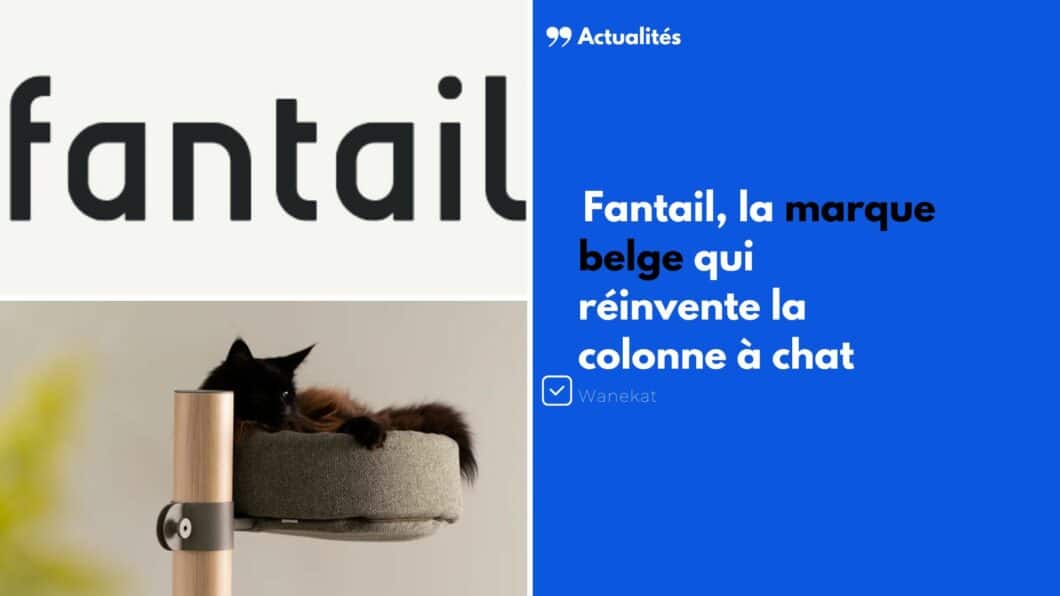 fantail arbre a chat marque belge