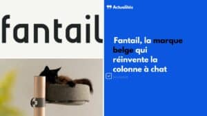 fantail arbre a chat marque belge