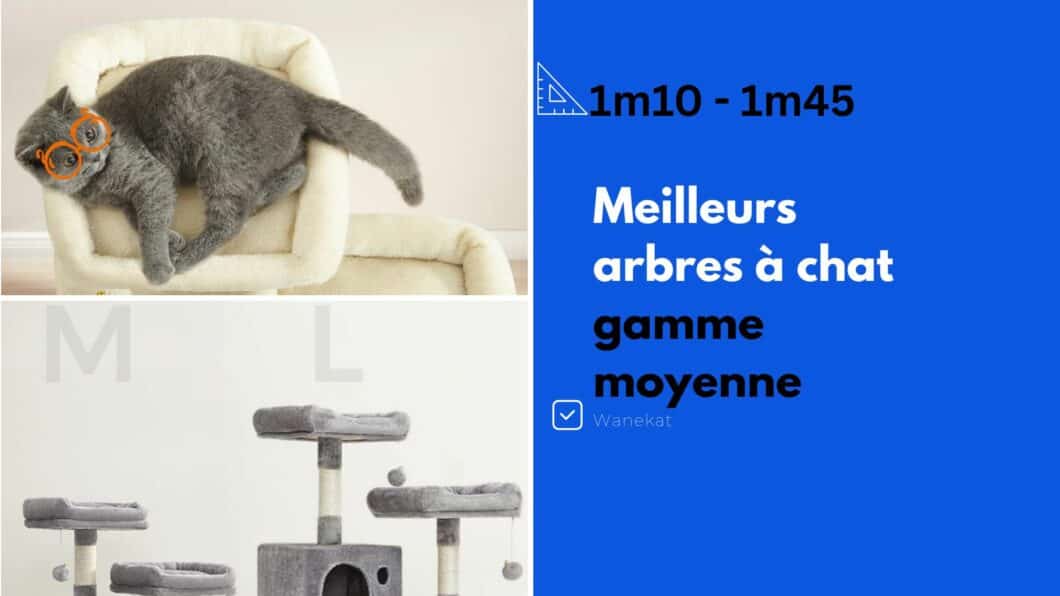 meilleur arbre a chat gamme moyenne