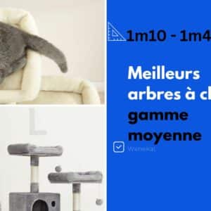 meilleur arbre a chat gamme moyenne