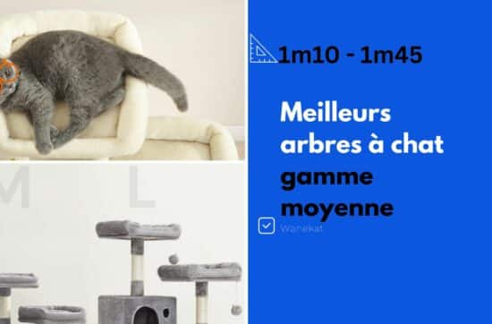 meilleur arbre a chat gamme moyenne