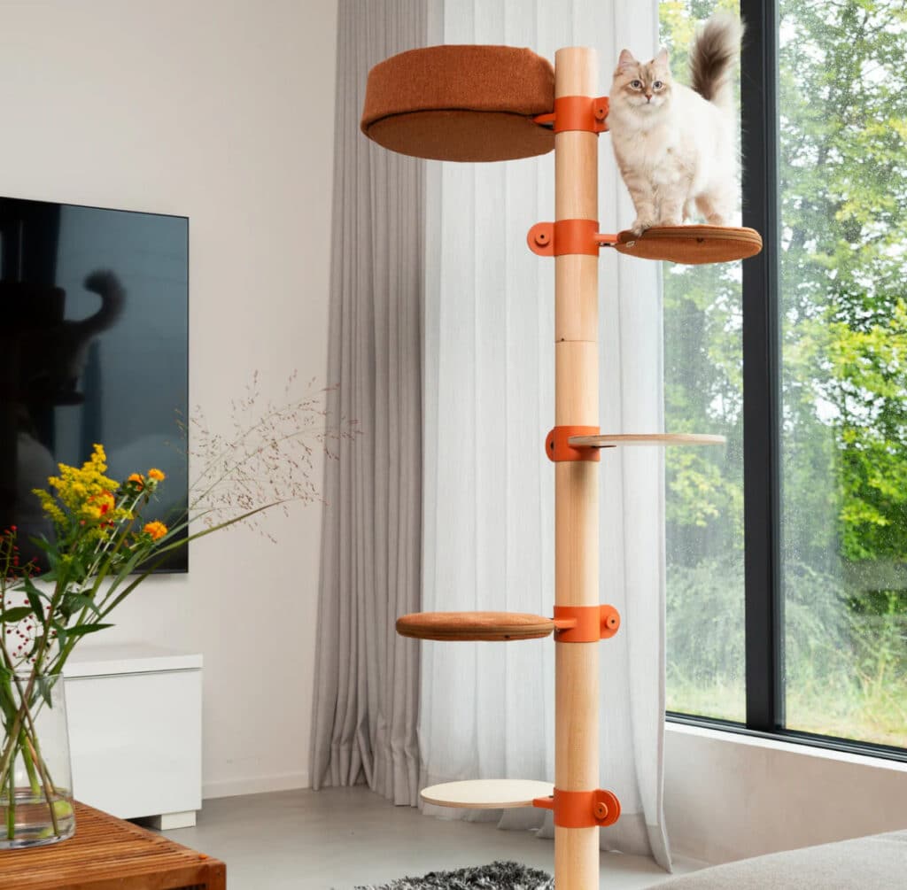 modele sol aventure