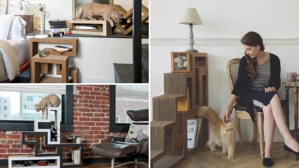 arbre a chat rangement livres