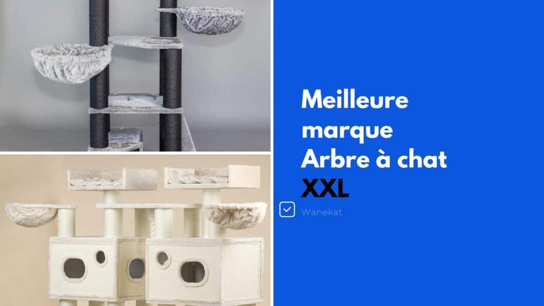 meilleur arbre a chat XXL geant