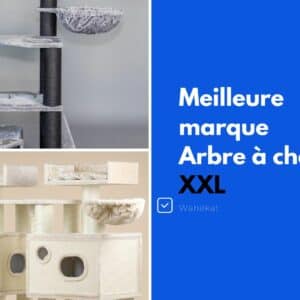 meilleur arbre a chat XXL geant