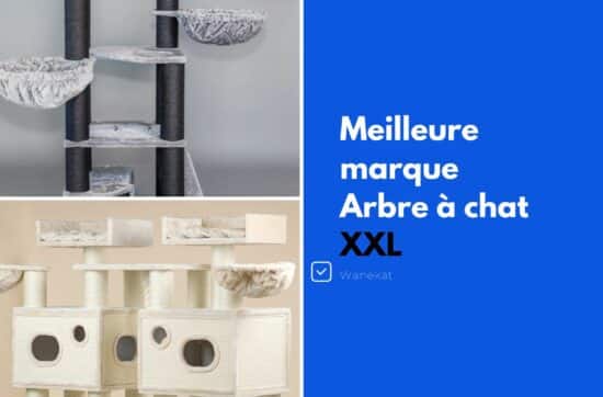 meilleur arbre a chat XXL geant