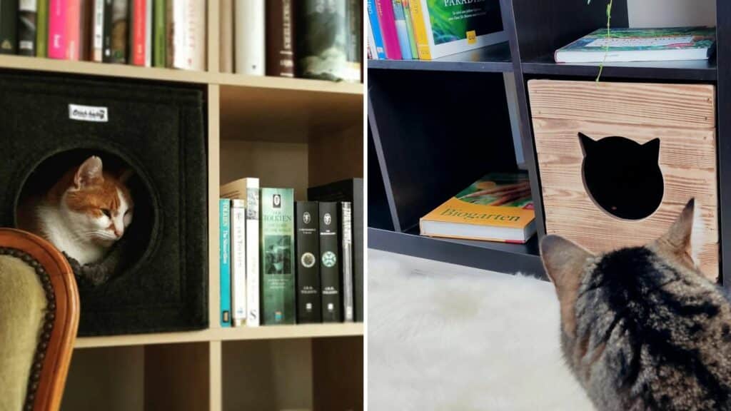 module souple bibliotheque chat