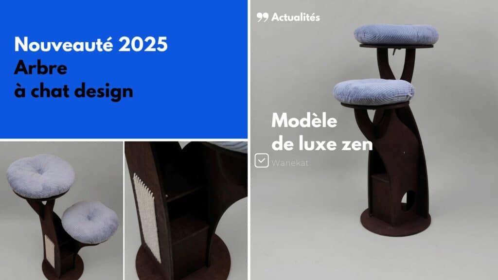 nouveaute arbre a chat luxe