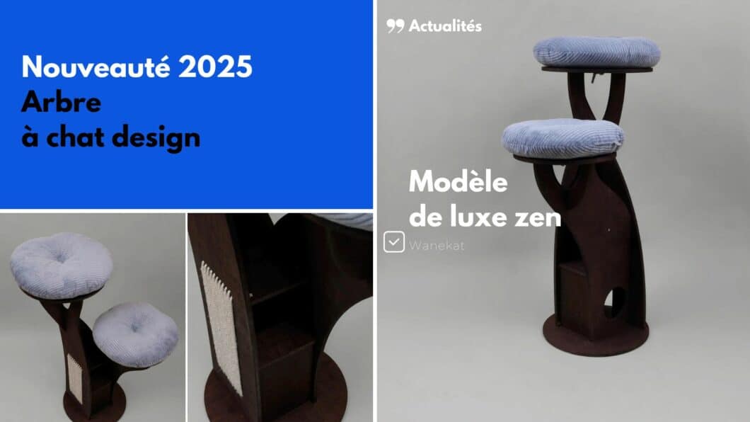 nouveaute arbre a chat luxe