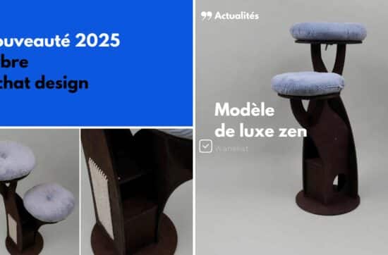 nouveaute arbre a chat luxe