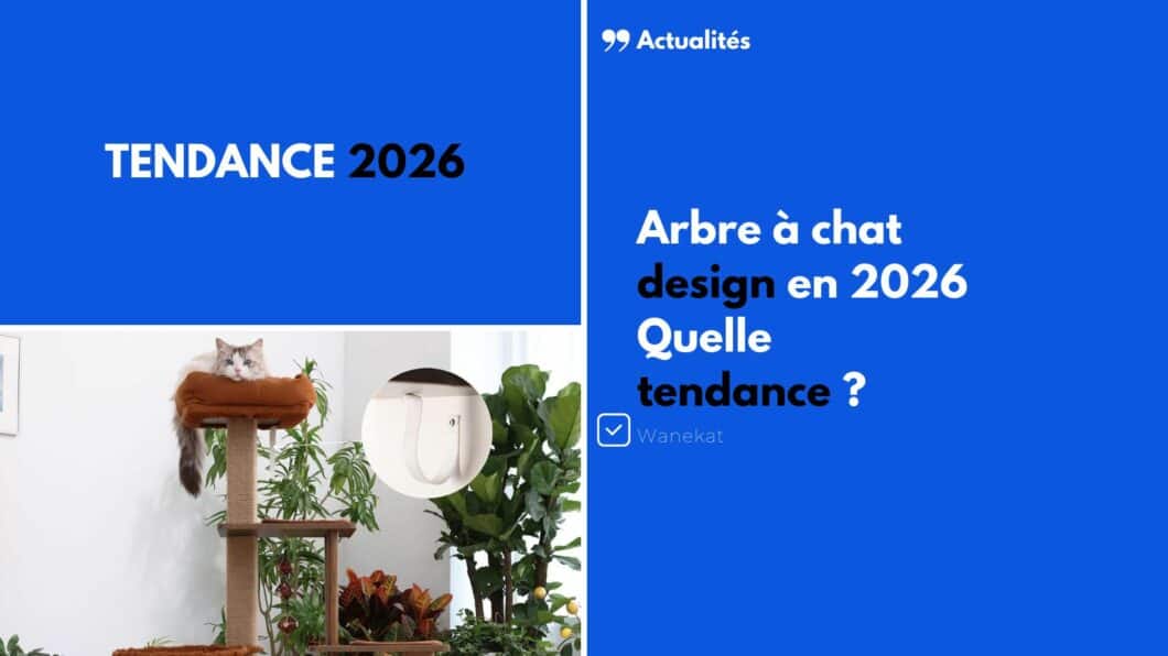 tendance 2026 arbre a chat design