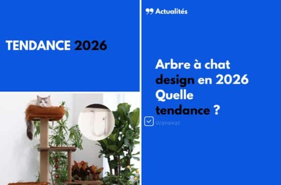 tendance 2026 arbre a chat design
