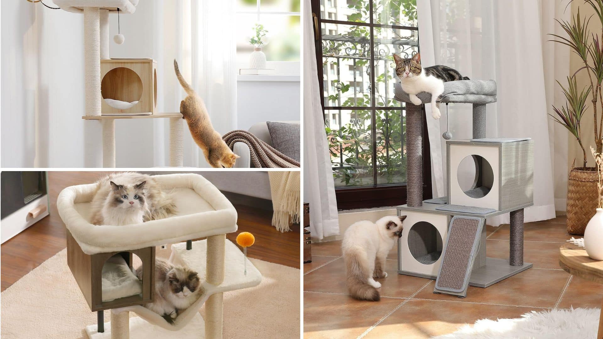 arbre a chat bois et tissu pas cher