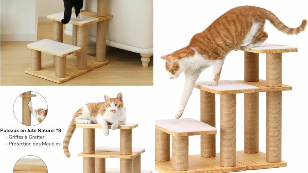 arbre a chat design simple escalier