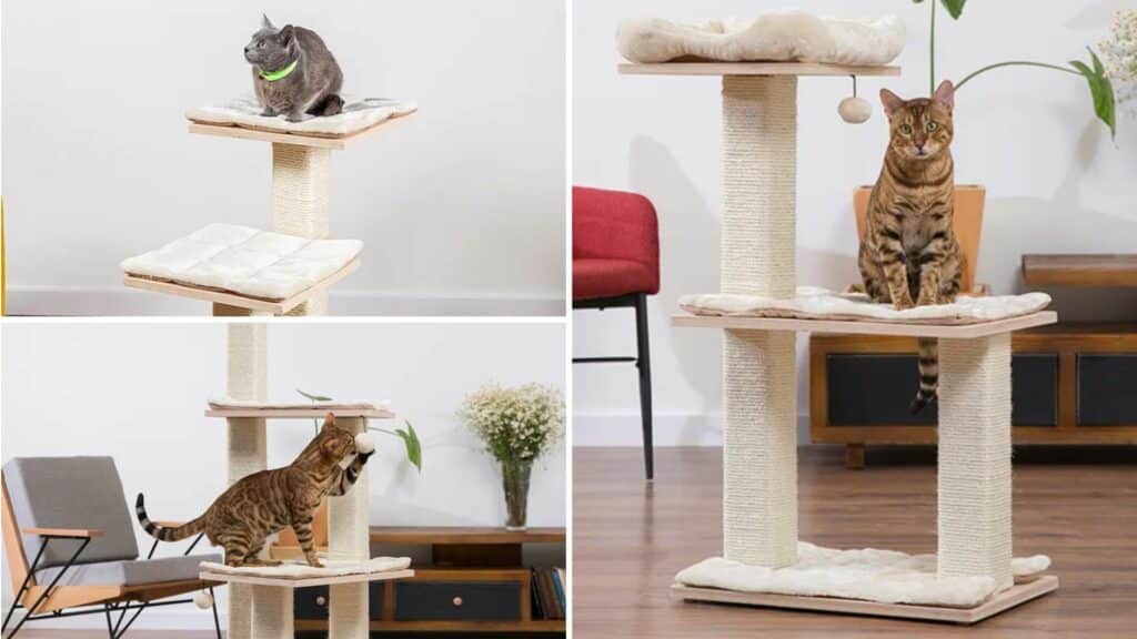 arbre a chat design simple plateformes