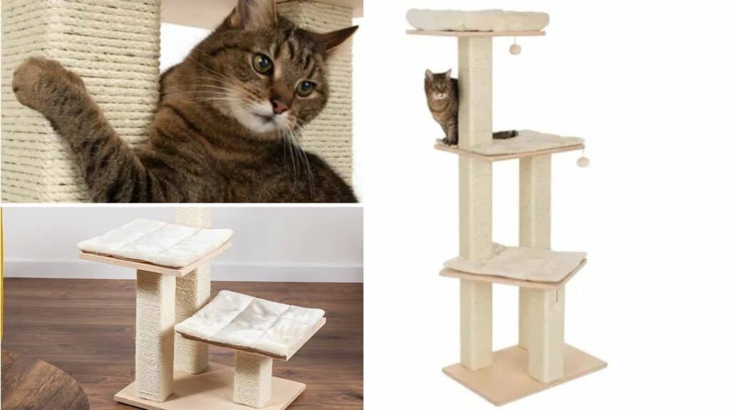 arbre a chat design simple plateformes 3 tailles