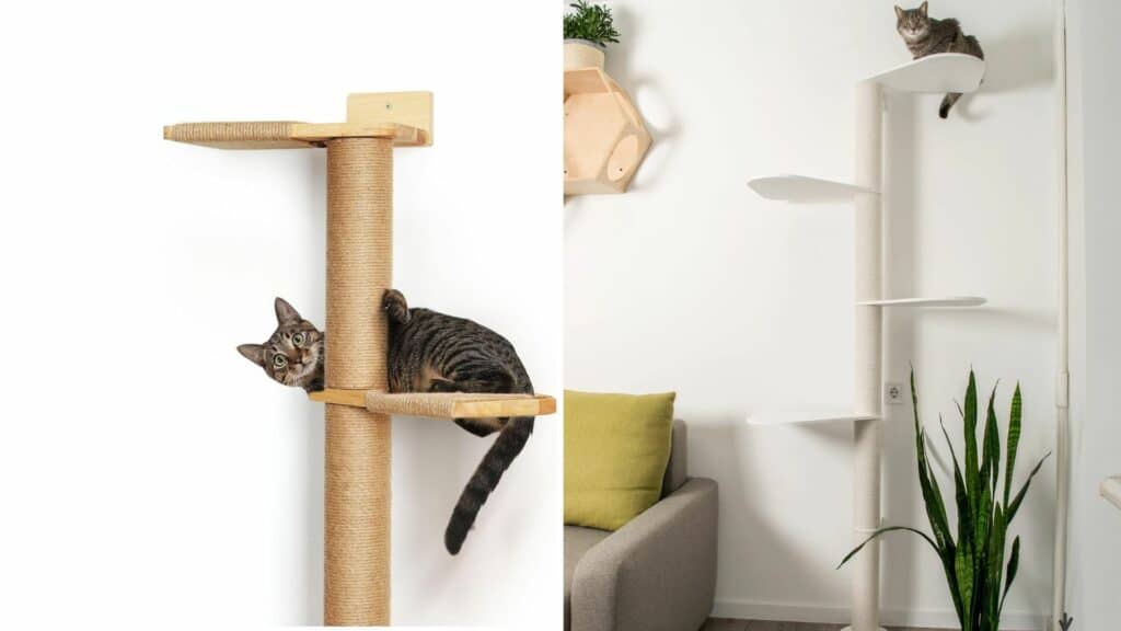 arbre a chat design simple sous plafond