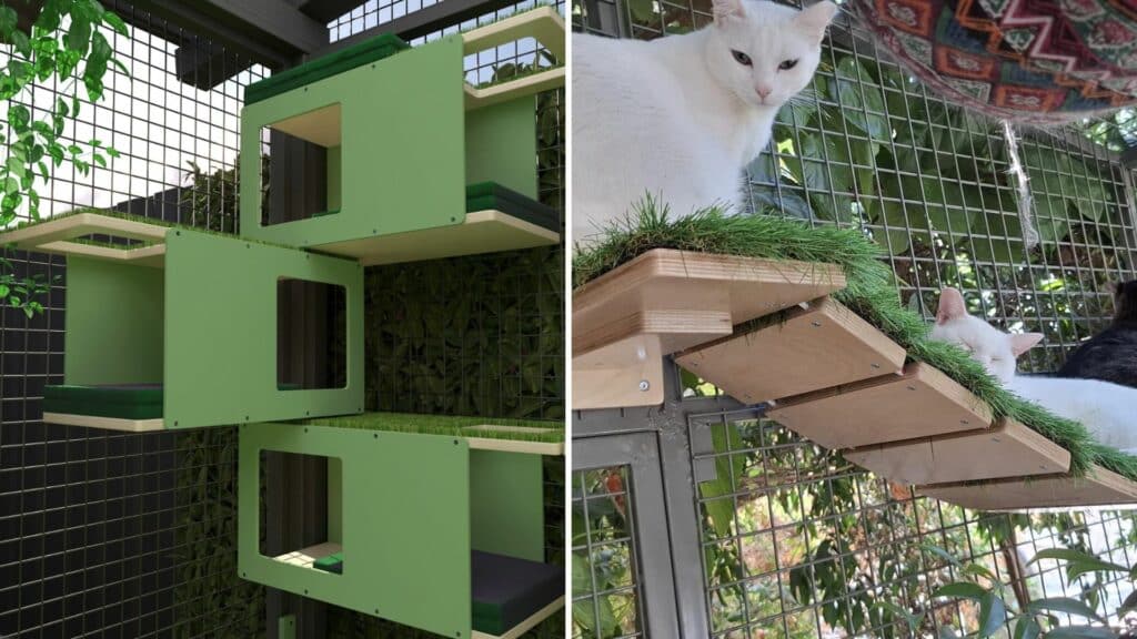 arbre a chat exterieur bois module parcours