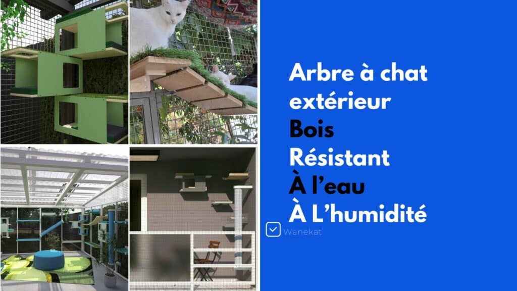 arbre a chat exterieur bois resistant humidite eau