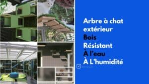arbre a chat exterieur bois resistant humidite eau