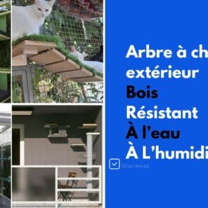 arbre a chat exterieur bois resistant humidite eau