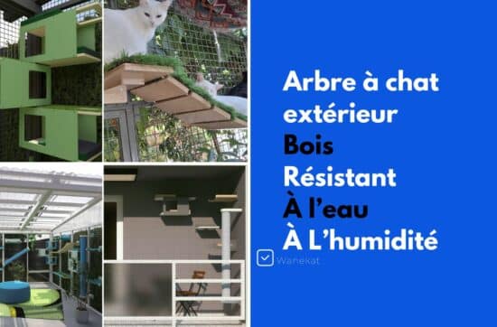 arbre a chat exterieur bois resistant humidite eau
