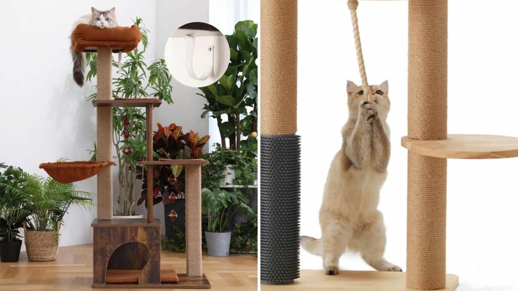 bois arbre a chat fukumaru