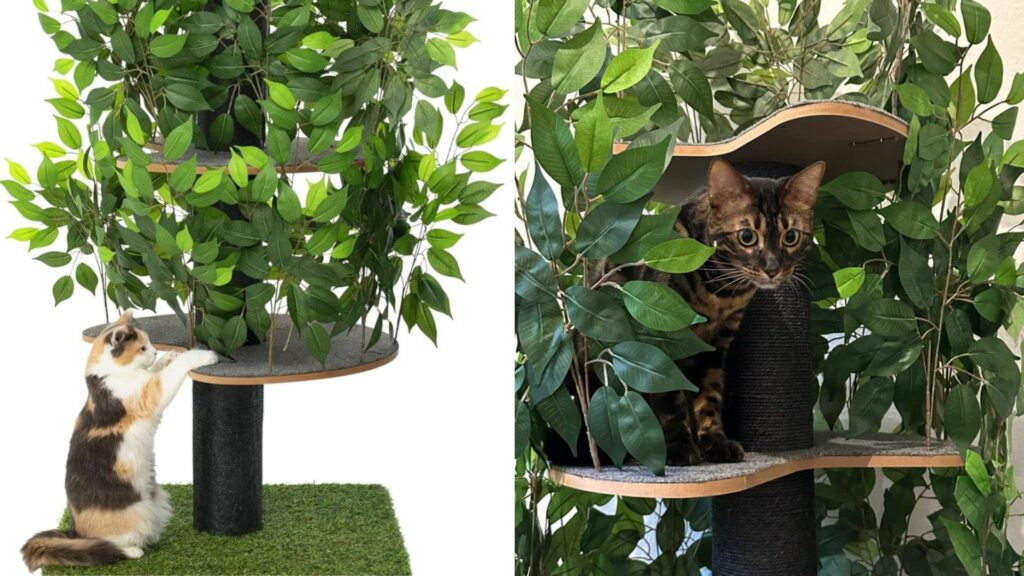 faux arbre vrai arbre a chat