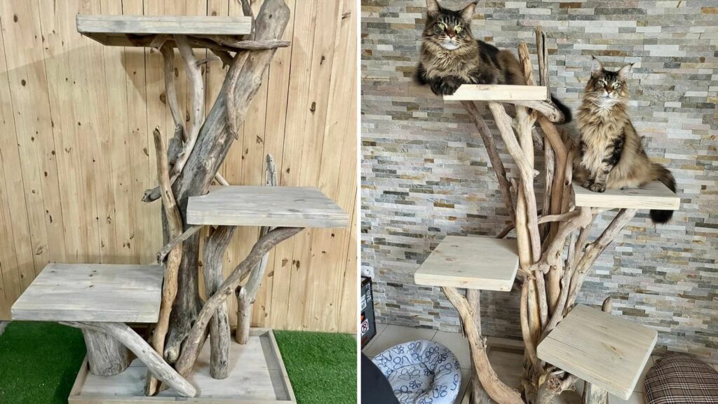 vrai arbre bois flotte